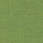 Lime #721 (FR701)