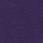 Iris #798 (FR701)